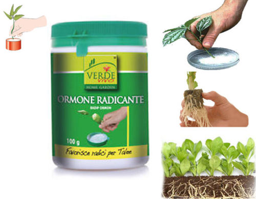 ORMONE RADICANTE RADIP ORMON ALBAGARDEN PER SVILUPPO DELLE RADICI 100 Gr 8053807402975